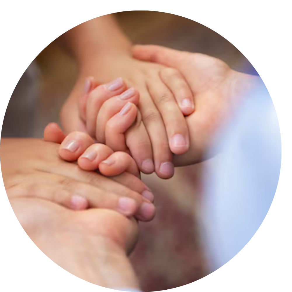 Home 12 Texto do seu paragrafo 3